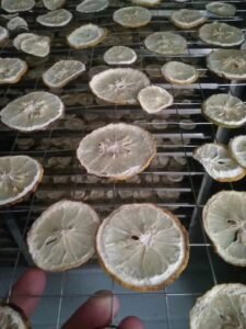 500KG Lemon Slice Heat Pump Dryer - Energy-Efficient Industrial Dehydrator