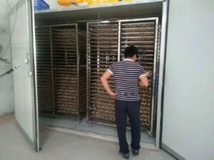 500KG Lemon Slice Heat Pump Dryer - Energy-Efficient Industrial Dehydrator