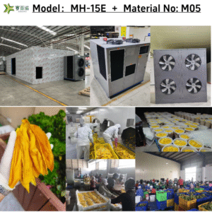 Commercial Heat Pump System - Industrial Grade Dehydration for Fruits & Vegetables