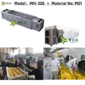 Energy Efficient Heat Pump - Industrial Grade Dehydrator for Meat & Fish