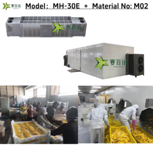 Commercial Drying System - Heat Pump Technology for Fruits & Vegetables