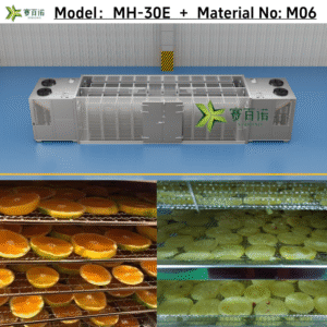 Commercial Food Dryer - Heat Pump Drying Technology for Fruits & Vegetables