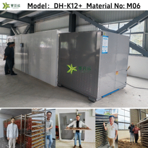 Commercial Heat Pump Dryer - New Eco-Friendly Technology for Fruits & Vegetables