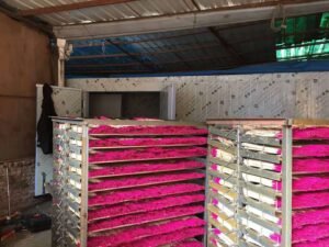 Incense Sticks Heat Pump Dryer - Bamboo Stick Incense Industrial Dehydrator