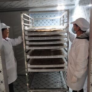 1500KG Noodle Drying Machine | 6-9 Hour Low-Temp Dryer | Industrial Noodle Processing