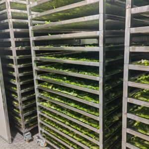 Cactus Heat Pump Dryer Dehydrator - Industrial Nopales Drying Machine