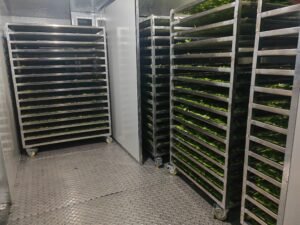 Cactus Heat Pump Dryer Dehydrator - Industrial Nopales Drying Machine