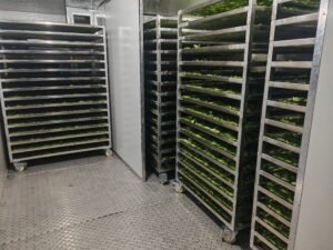 Cactus Heat Pump Dryer Dehydrator - Industrial Nopales Drying Machine