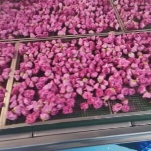 Rose Petal Heat Pump Dryer Dehydrator - Commercial Flower Drying Machine
