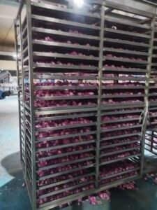 Rose Petal Heat Pump Dryer Dehydrator - Commercial Flower Drying Machine