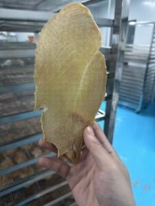 Pet Food Chicken Breast Heat Pump Dryer - Commercial Pet Treat Dehydrator