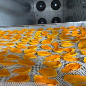 1500KG Mango Heat Pump Dryer Dehydrator - Industrial Mango Drying Solution