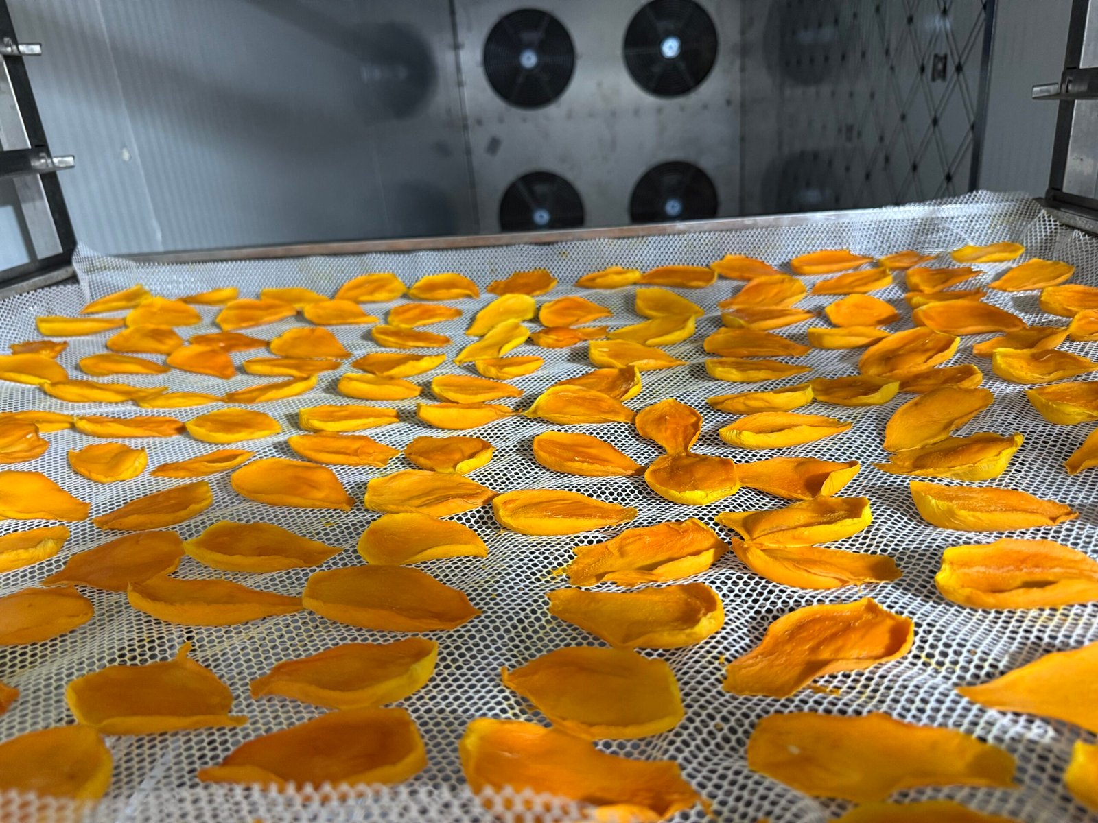 1500KG Mango Heat Pump Dryer Dehydrator - Industrial Mango Drying Solution