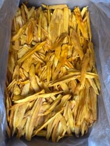 Mango Heat Pump Dryer Dehydrator - Industrial Mango Drying Solution