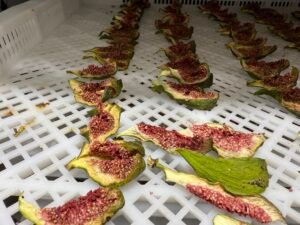 Fig Heat Pump Dryer Dehydrator - Commercial Fig Drying Machine