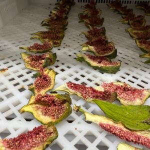 Fig Heat Pump Dryer Dehydrator - Commercial Fig Drying Machine