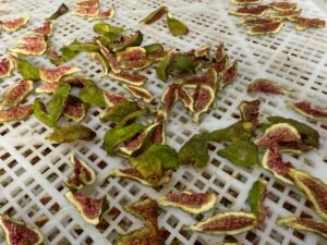 Fig Heat Pump Dryer Dehydrator - Commercial Fig Drying Machine