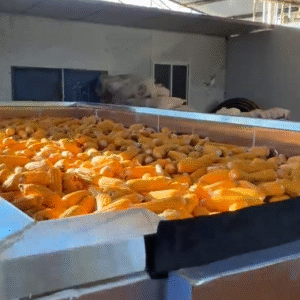 Corn Heat Pump Dryer - Industrial Grain Drying System for Maize/Corn