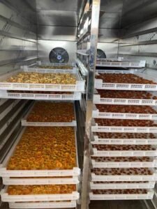  Apricot Heat Pump Dryer Dehydrator - Industrial Drying Machine