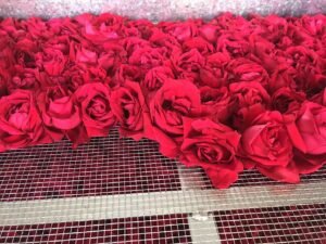 Rose Petal Heat Pump Dryer Dehydrator - Commercial Flower Drying Machine