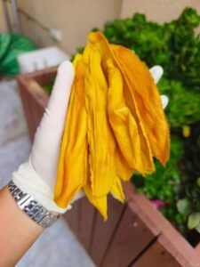 mango drying equipment