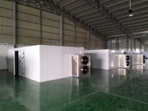 mango drying equipment.