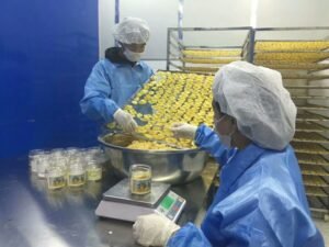  Pineapple Heat Pump Dryer - Industrial Pineapple Dehydrator for Dried Slices & Chunks