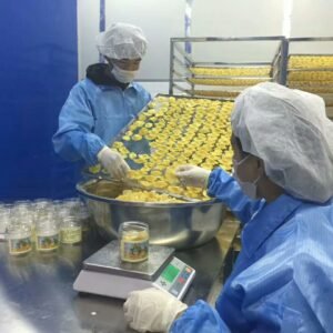 1000KG Pineapple Heat Pump Dryer - Industrial Pineapple Dehydrator for Dried Slices & Chunks