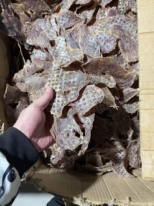 Pet Food Heat Pump Dryer - Industrial Pet Treat Dehydrator for Dog & Cat Food